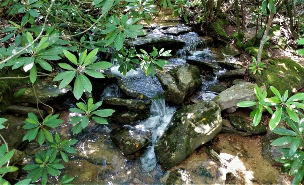 Shady stream at Hanging Rock State Park