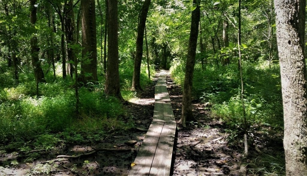 The Creekside Trail uses wooden planks to go through wet areas.