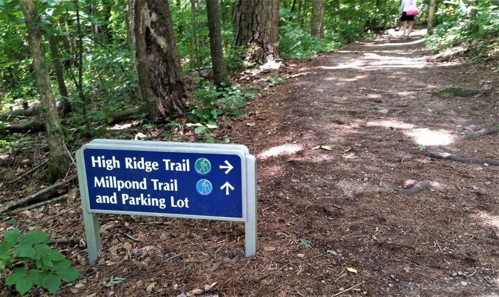 Add another trail when you've finished the Tree Trail.