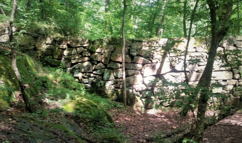 Remains of a dam wall at the old Company Mill site.