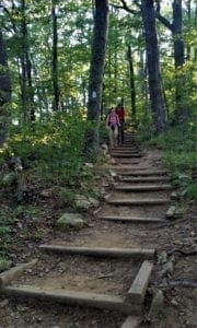 Hiking the forest on the Appalachian Trail.