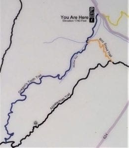 Detail of the Boy Scout Trail on the Dragon's Tooth map.