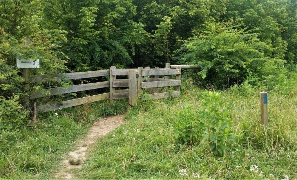 The trail goes through a meadow to the second gate.