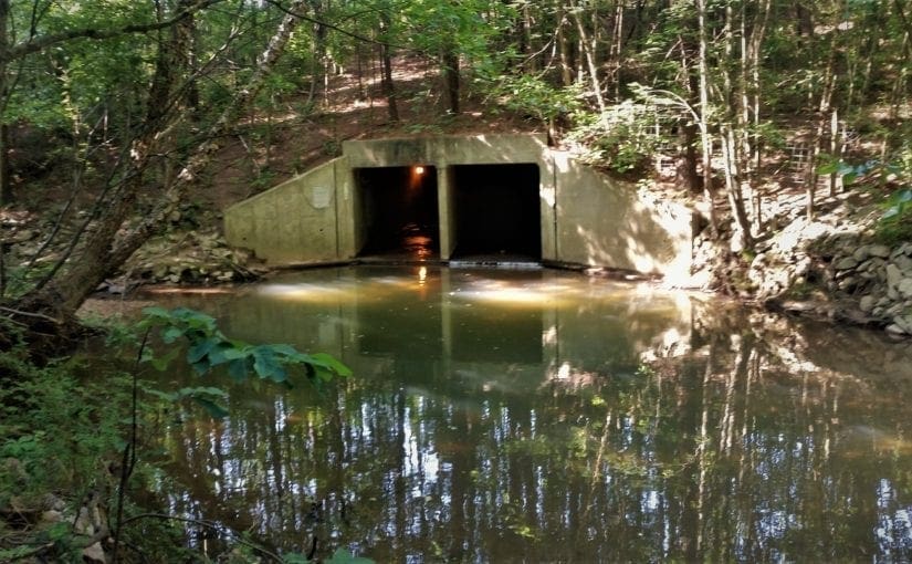 Hike to the Zombie Tunnels!  –  Schenck Forest’s Richland Creek Trail