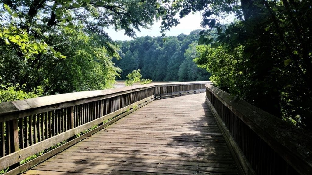 A boardwalk crosses the pond and gives access to the park's hiking trails.