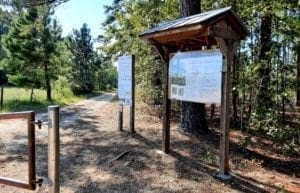 Hike to the Zombie Tunnels! - Schenk Forest's Richland Creek Trail