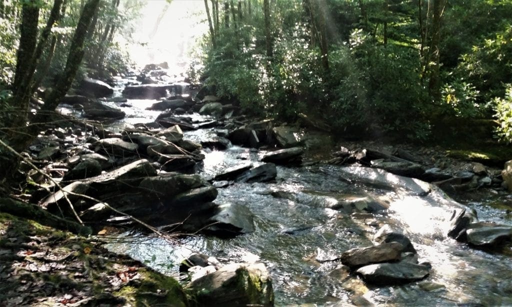 The Alum Cave Stream follows the trail for the first section.