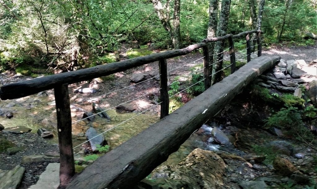 A log bridge on the Alum Cave Trail.