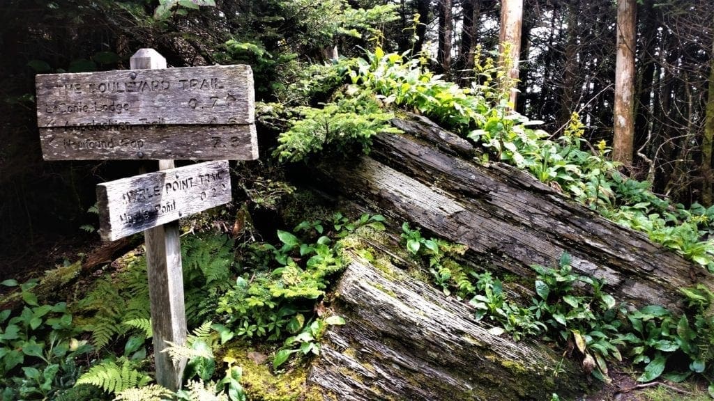 Hiking the Appalachian Trail in the Smoky Mountains