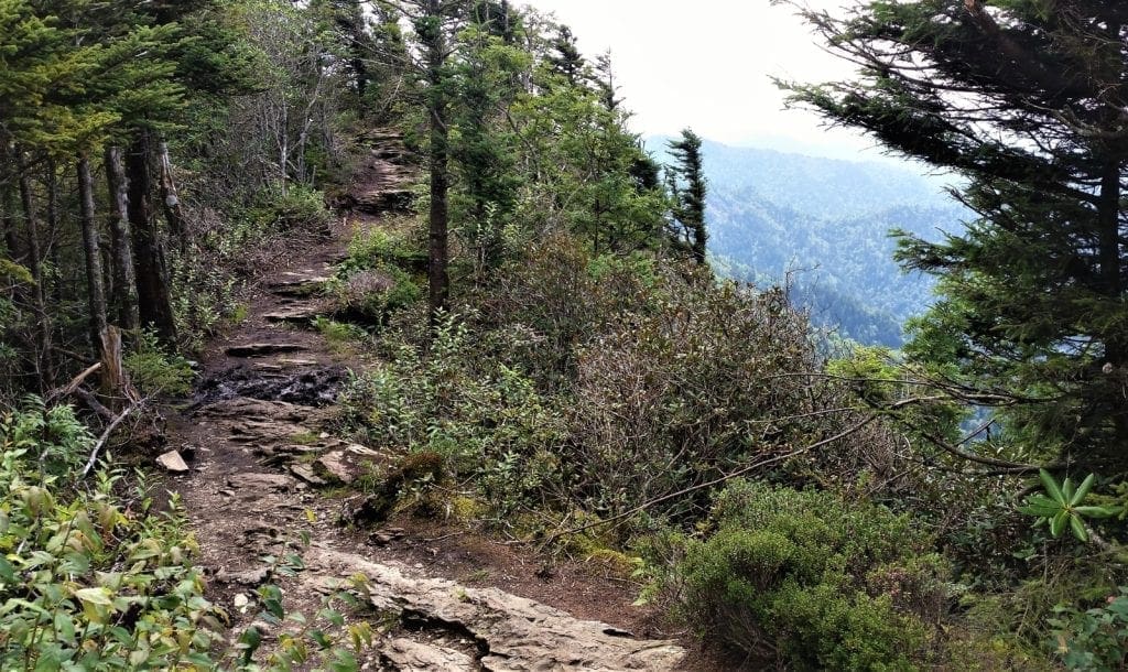 On the trail to the summit of Mt. Leconte.