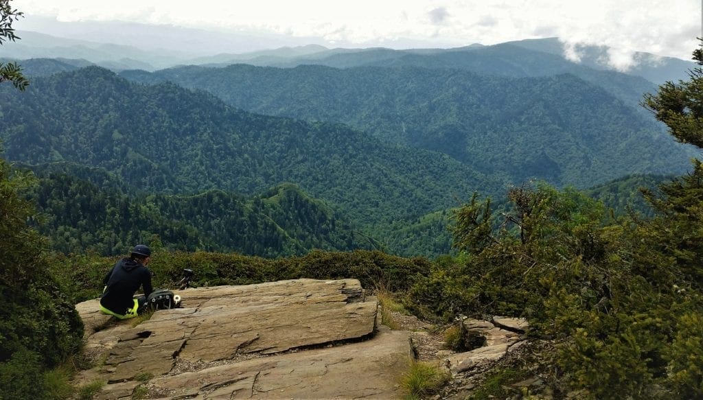 View from Cliff Tops near the summit of Mt LeConte.