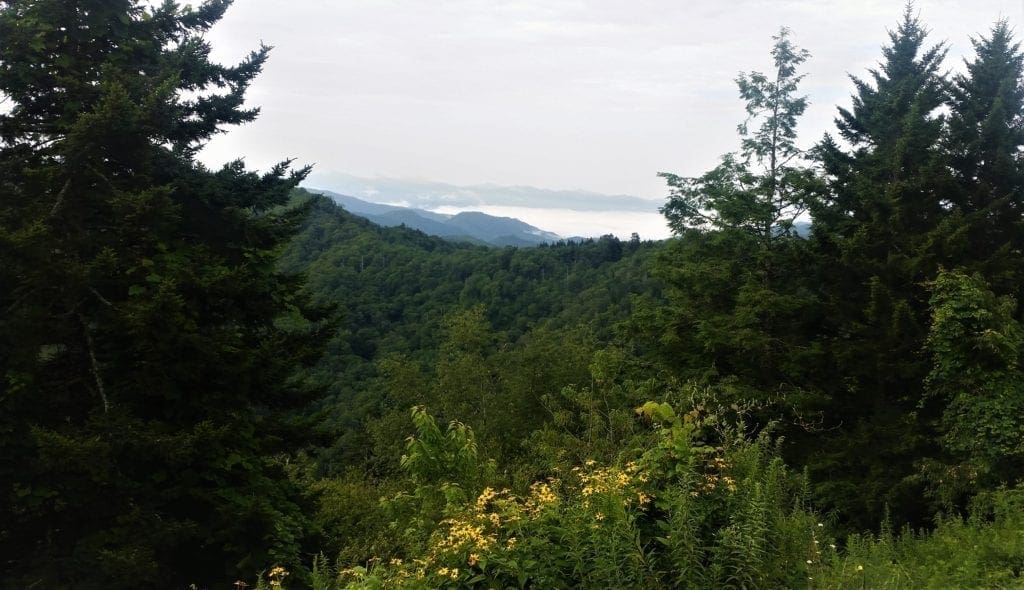 View from the overlook at Newfound Gap in the Smoky Mountains.