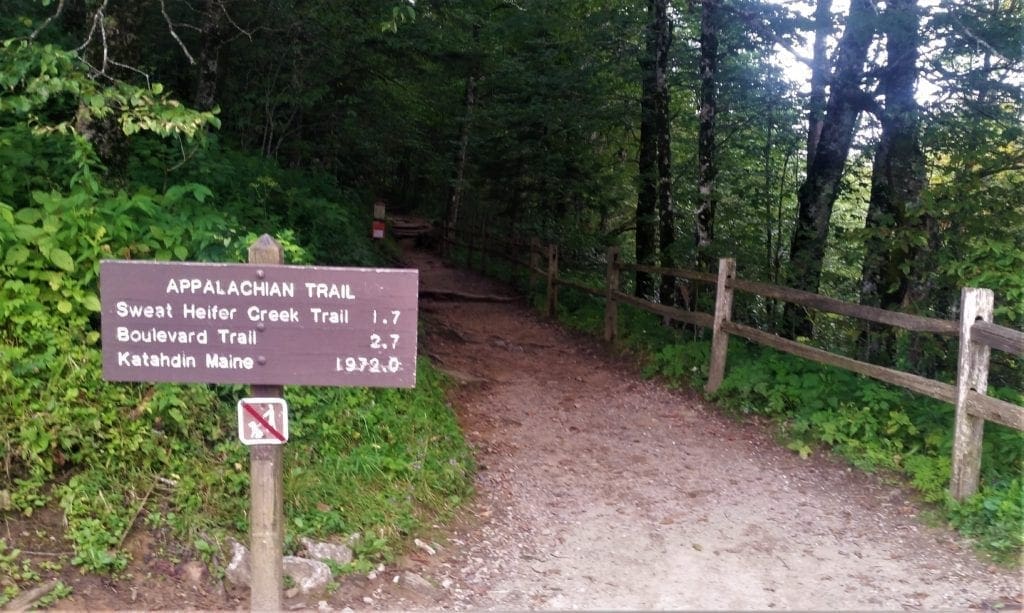 Trailhead for the Appalachian Trial, the way to get to Charlies Bunion.