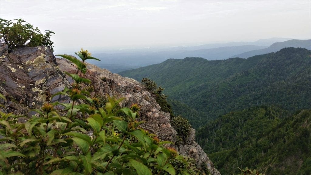 View from Charlie's Bunion Trail in the Smoky Mountains