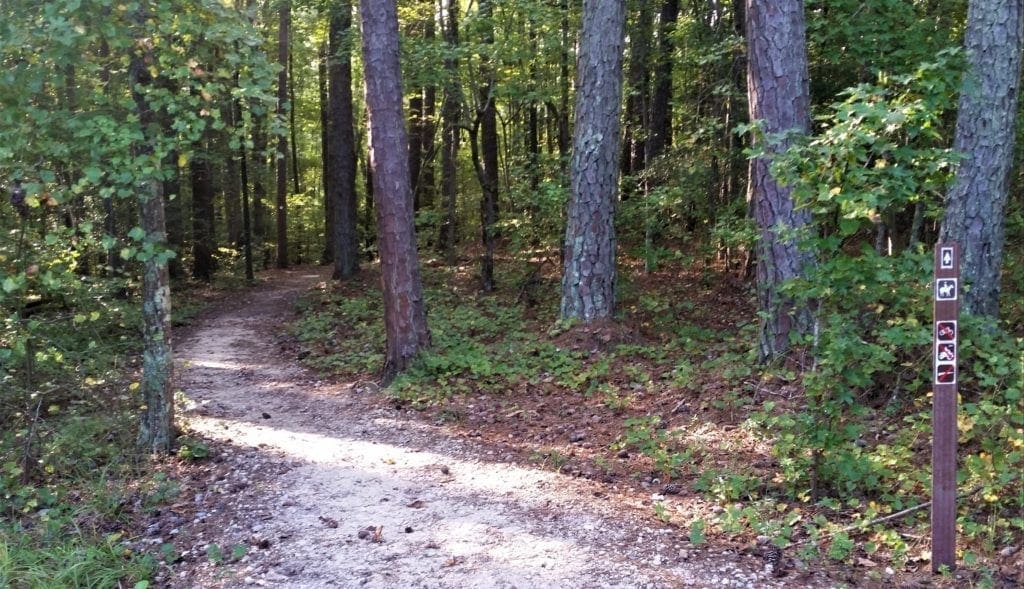 Trail runs through hardwood forest.