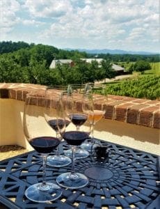 Tasting wine and overlooking the vineyard.