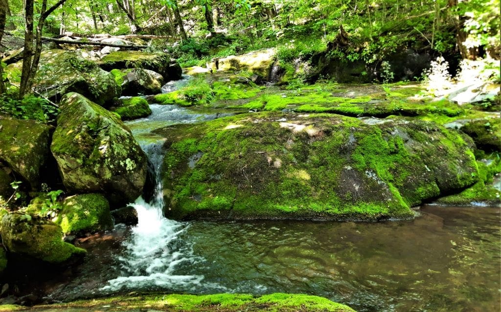 This part of the trail has many pretty cascades.