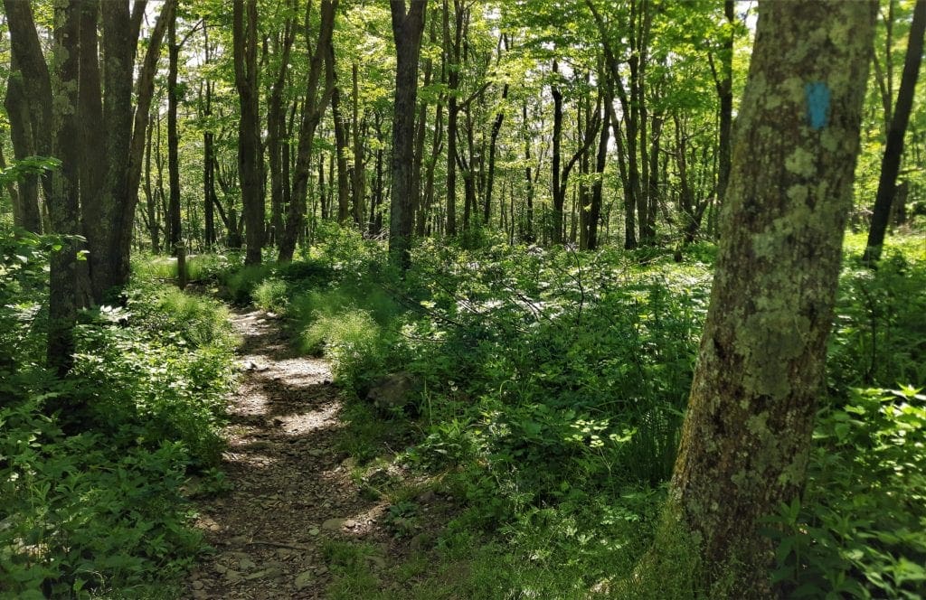 Cedar Run Trail in Shenandoah State Park