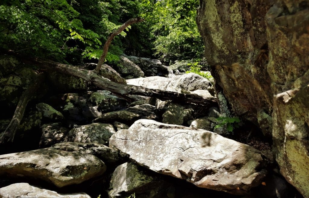 Rocks on the Cedar Run Trail
