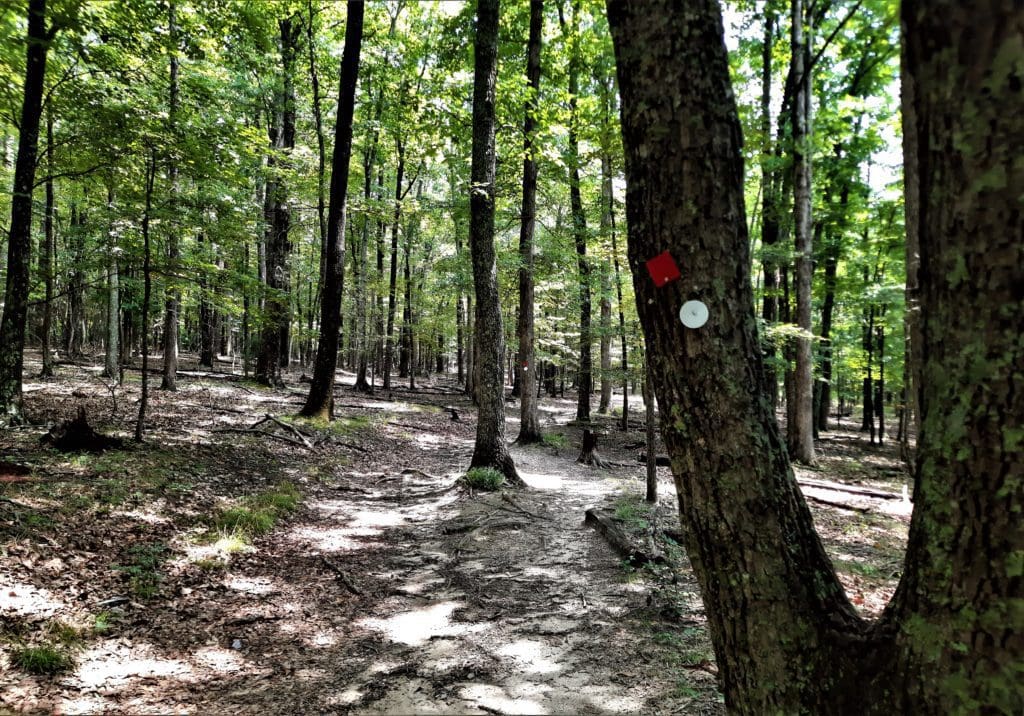 The white blaze of the MST trail can be found along trails in many of the State Parks.