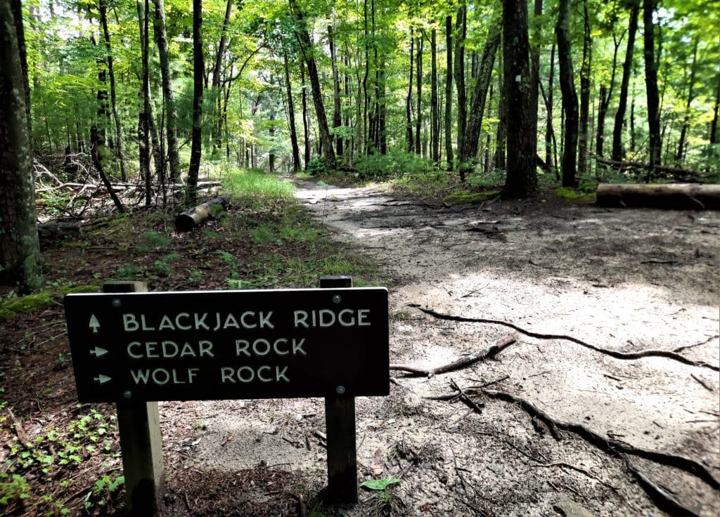 Go straight to stay on the Black Jack Ridge Trail.