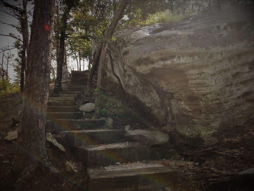 More steps up on the way to the Stone Mountain summit!