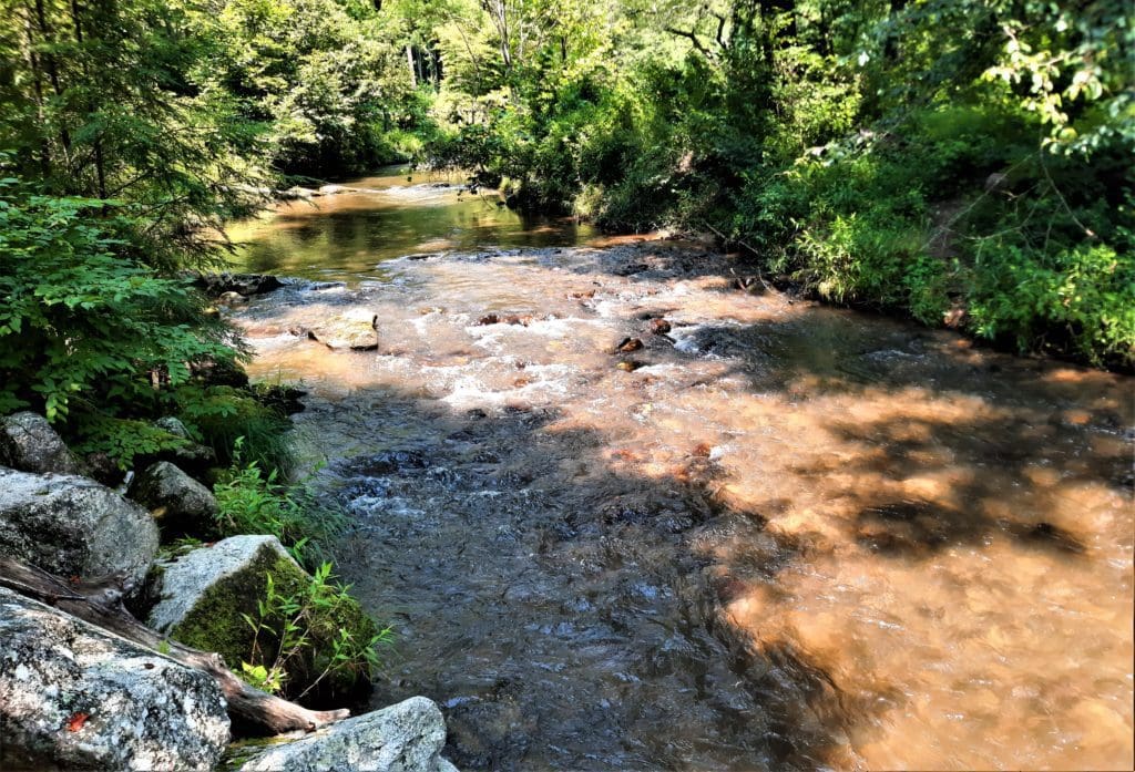 A view of Widow's Creek.