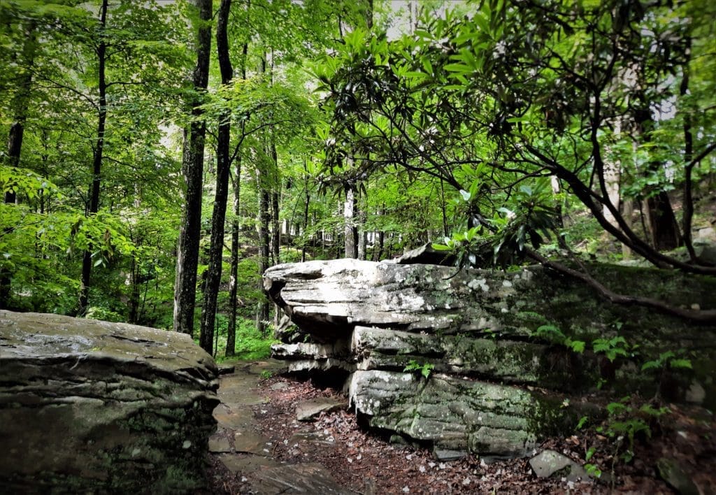 Boulders line the Tunnel Trail in the Grandview area.