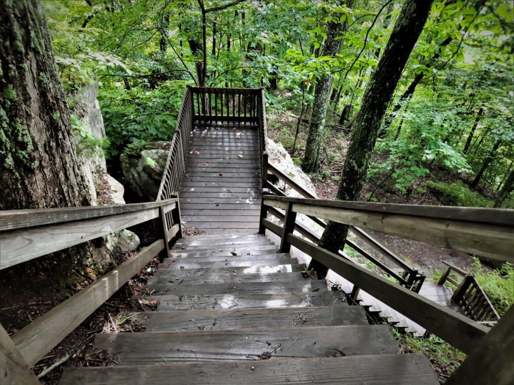 A wooden staircase on the Tunnel Trail.