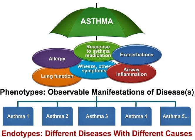 Phenotypes (subgroups) of asthma can include multiple Endotypes.