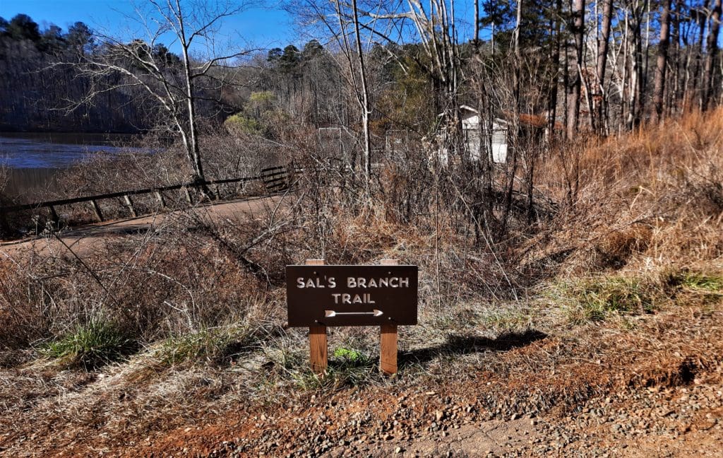 Sal's Branch trail is adjacent to Big Lake in Umstead State Park.
