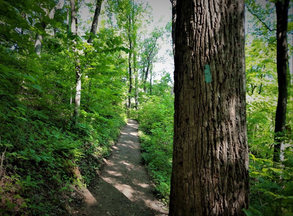 Hike Old Rag in Shenandoah National Park