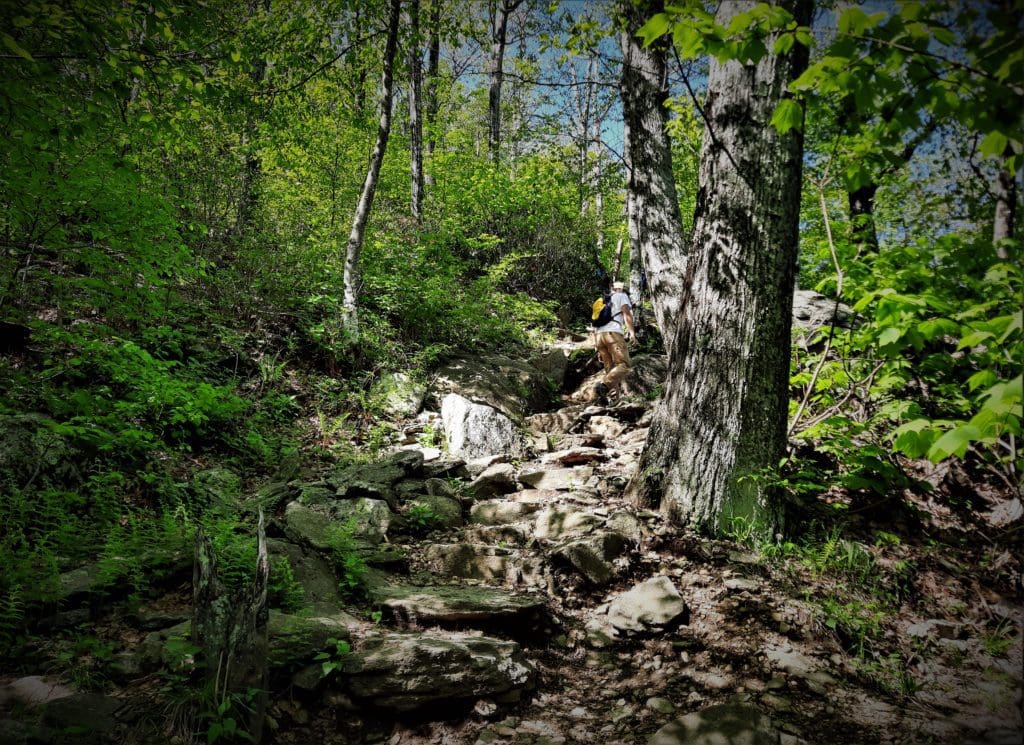 Even the trail before the Old Rag scramble could be a challenge!