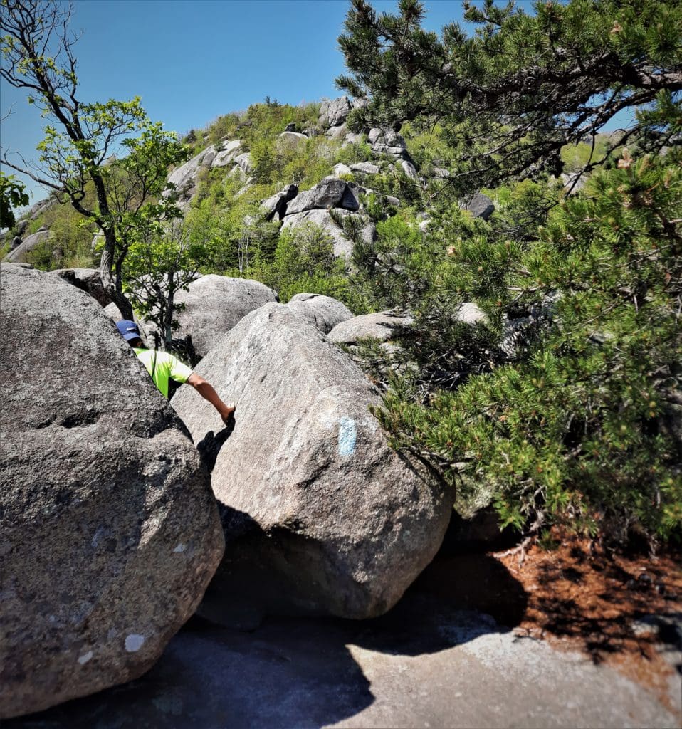 Hiker disappearing into the boulders.