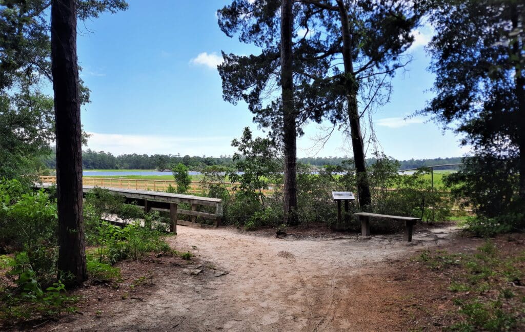 The trails start in the woods, but end up on the boardwalk near the water.