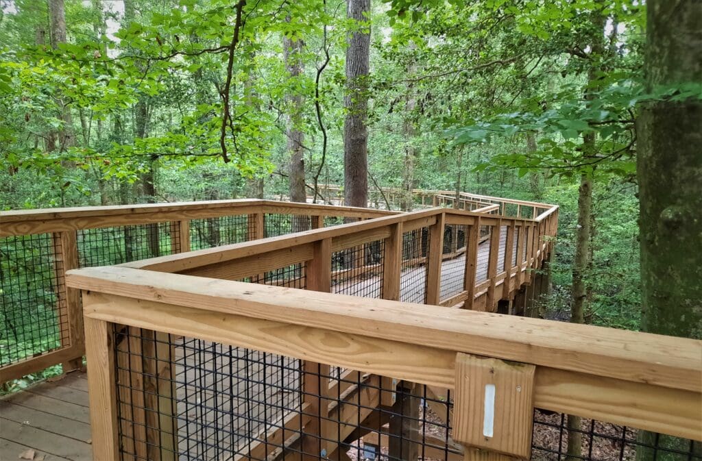 Congaree National Park Boardwalk Trail.