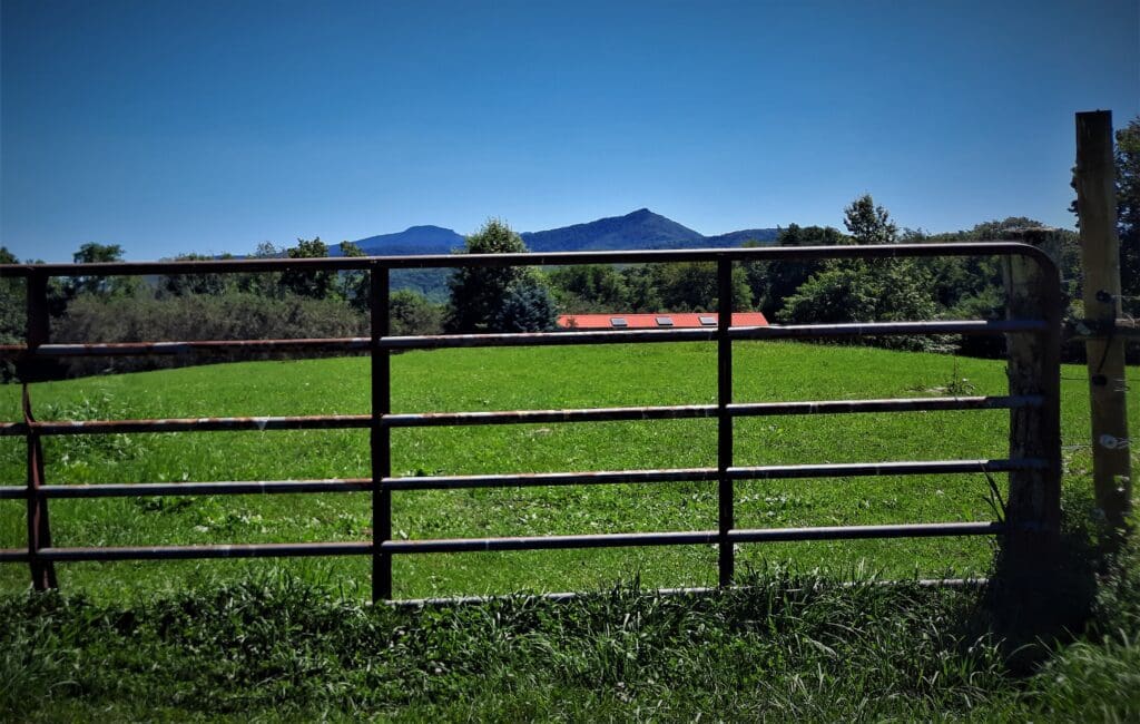 Grandfather Mountain is visible from Apple Hill Farm.