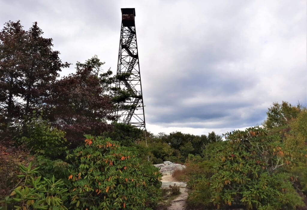 Approaching the Middle Knob Firetower.