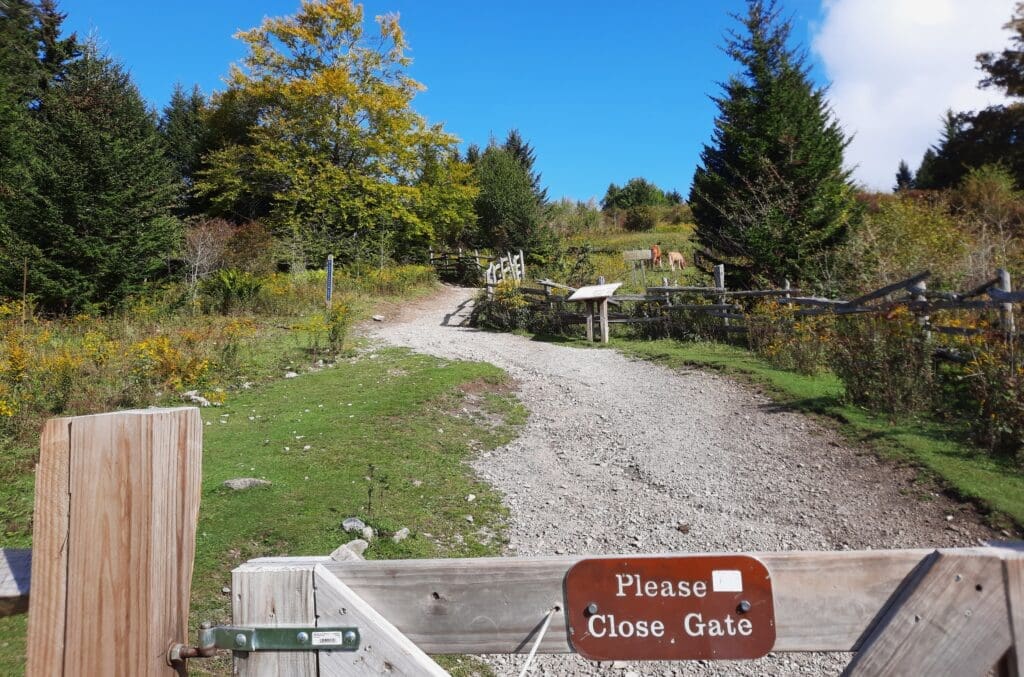 Enter the gate after the kiosk at the Massie Gap trailhead.