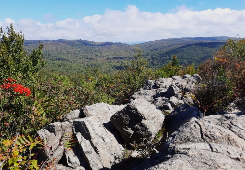 Grayson Highlands has some great rocks!