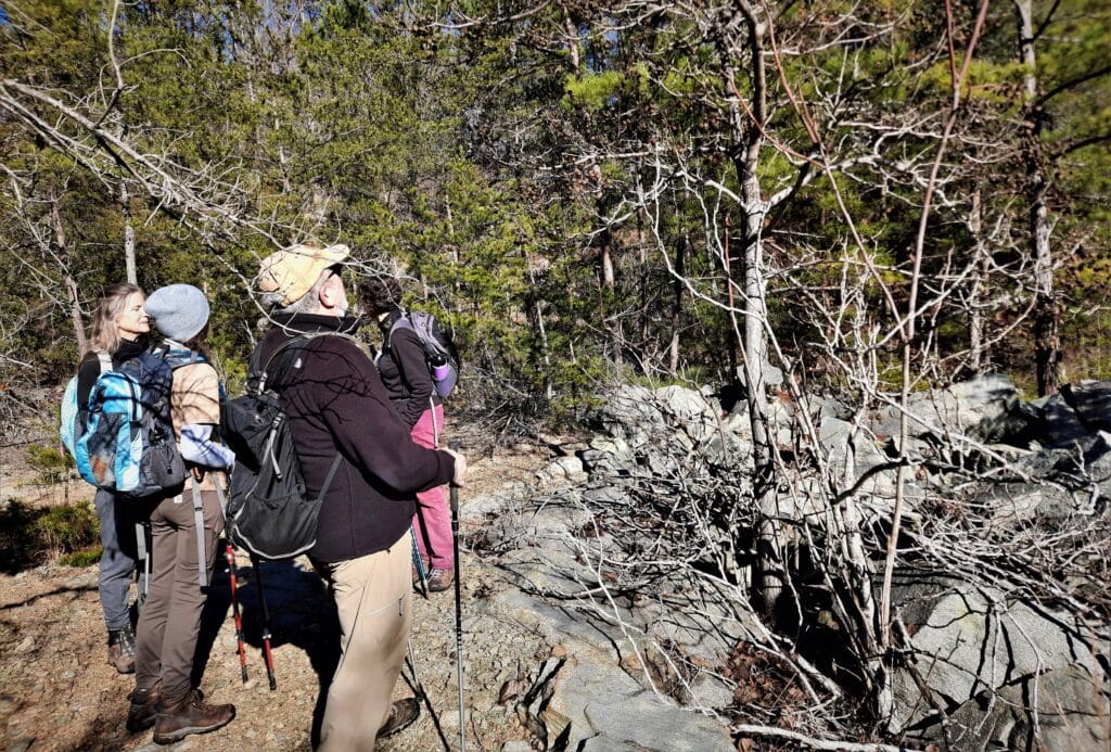 Hikers at the lost quarry site we found in Eno State Park.