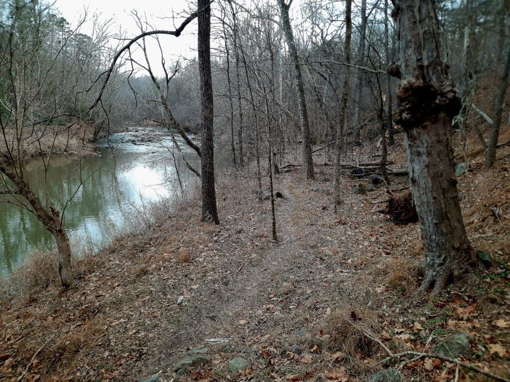 The Old Sawmill Trail goes right along the river.
