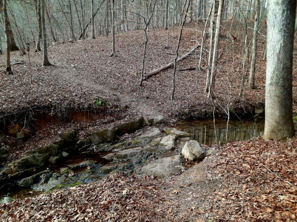 One of the creek crossings on the Sawmill Trail.
