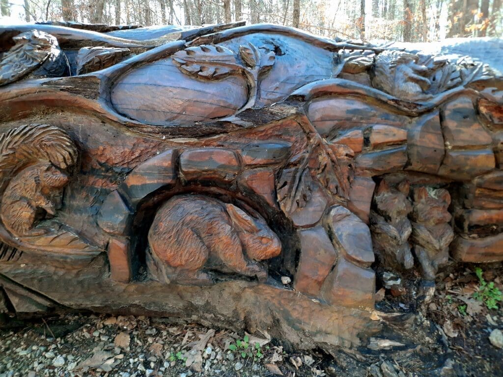 Detail of the carved tree art in Umstead State Park.