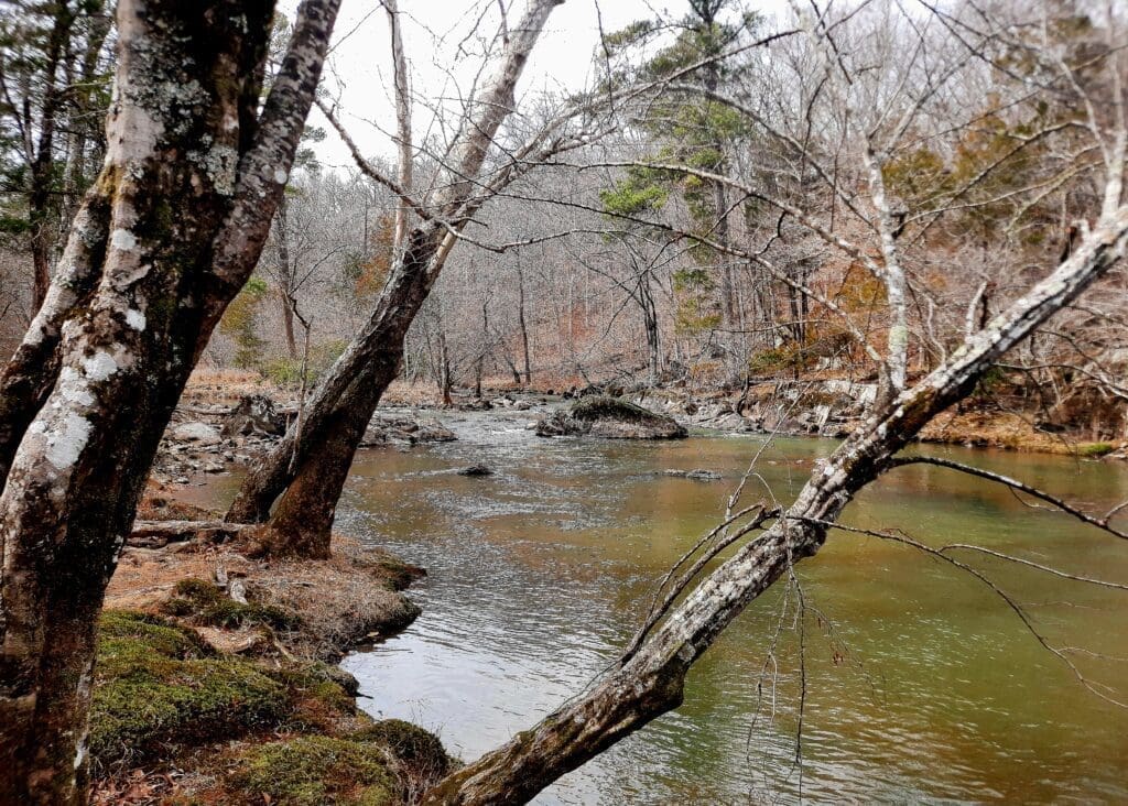 The Eno River from the Cabelands Trail.