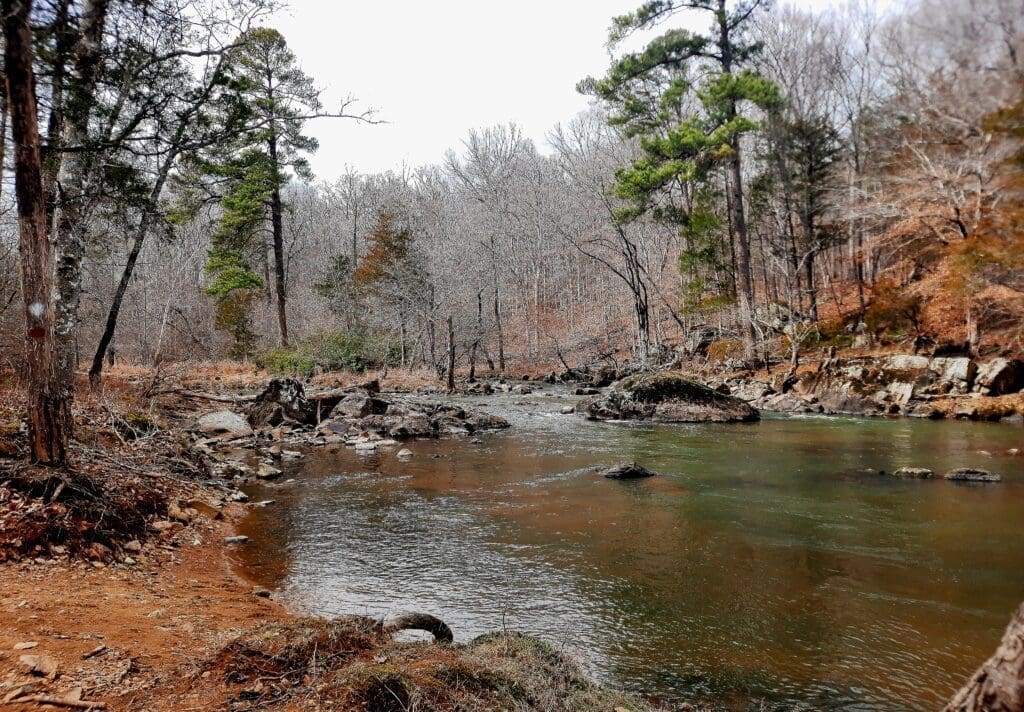 View of the Eno River from the Cabelands Trail.