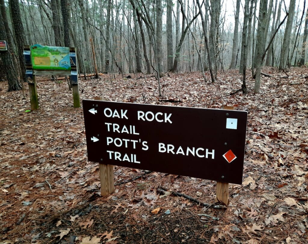 I took a short scouting hike on local trails at Umstead State Park.